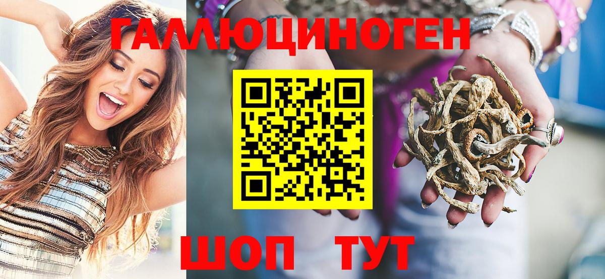 Галлюциногенные грибы Psilocybine cubensis Мончегорск