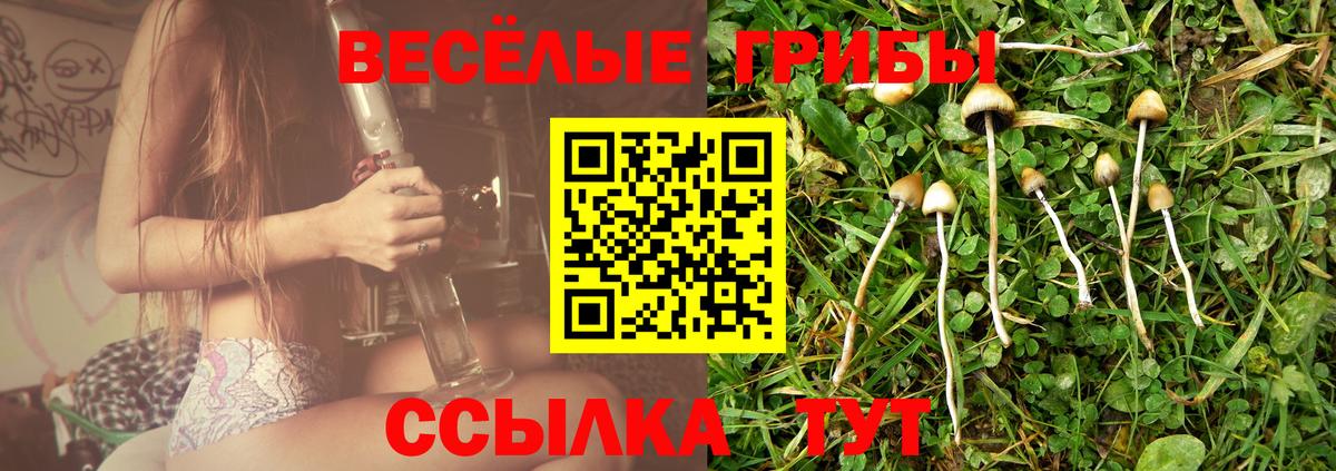 Мончегорск  Псилоцибиновые грибы ЛСД  Вход с VPN 